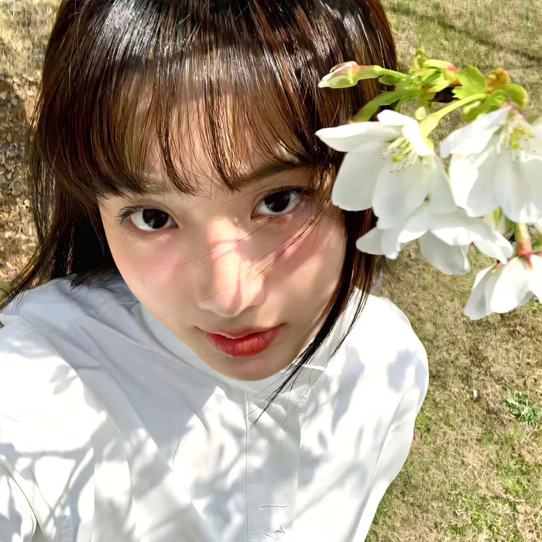 幸存的希德